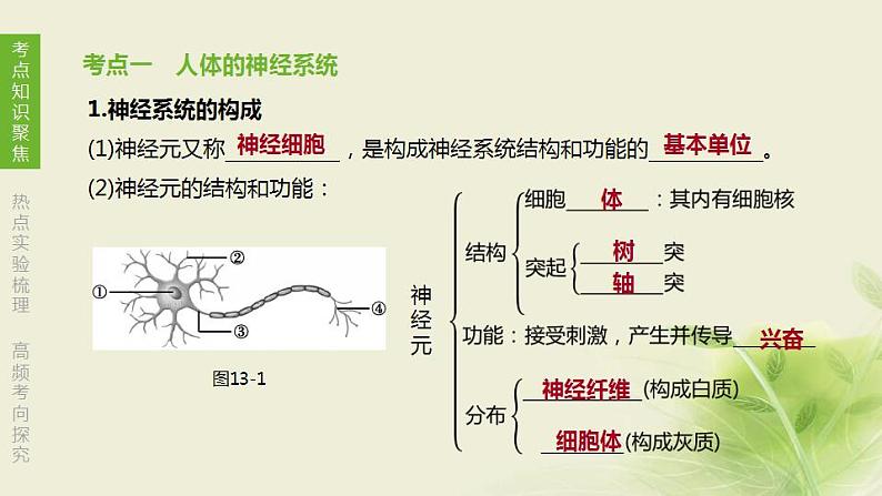 徐州专版中考生物复习第六单元生命活动的调节和生态系统的稳定第13课时人体生命活动的调节课件第2页