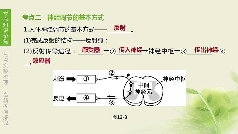 徐州专版中考生物复习第六单元生命活动的调节和生态系统的稳定第13课时人体生命活动的调节课件第6页