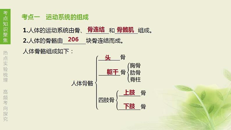 徐州专版中考生物复习第六单元生命活动的调节和生态系统的稳定第14课时动物的运动和行为课件第2页