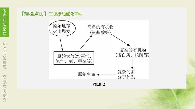 徐州专版中考生物复习第七单元生命的延续与进化第19课时生物的进化课件第4页