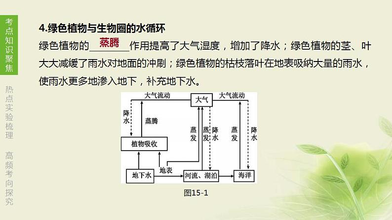 徐州专版中考生物复习第六单元生命活动的调节和生态系统的稳定第15课时生态系统的稳定课件第4页