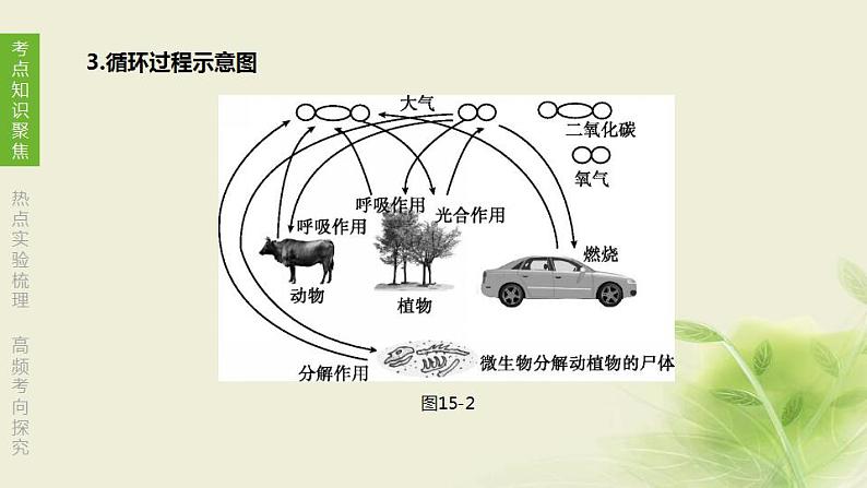 徐州专版中考生物复习第六单元生命活动的调节和生态系统的稳定第15课时生态系统的稳定课件第7页