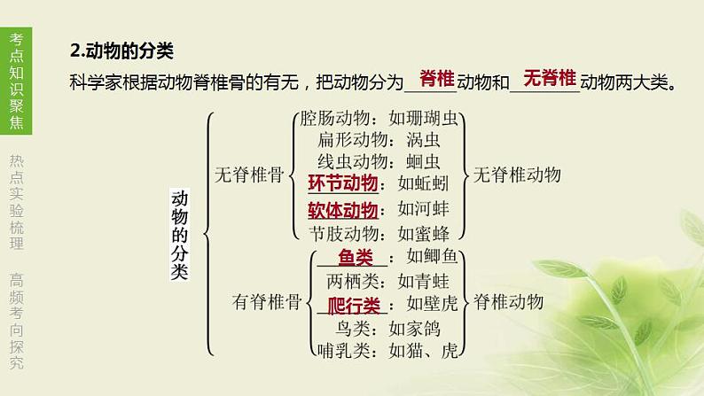 徐州专版中考生物复习第五单元环境中生物的多样性第09课时生物的命名和分类课件第5页