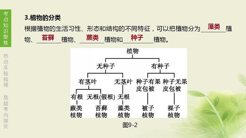 徐州专版中考生物复习第五单元环境中生物的多样性第09课时生物的命名和分类课件第6页