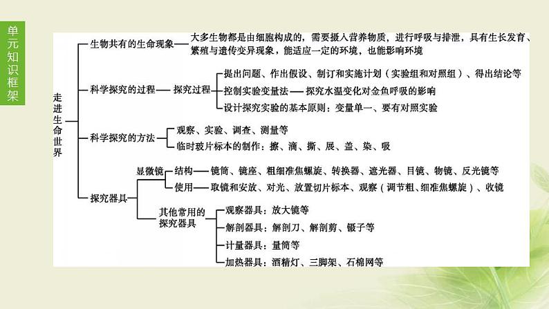 徐州专版中考生物复习第一单元走进生命世界第01课时生物生物学的基本研究方法课件第1页