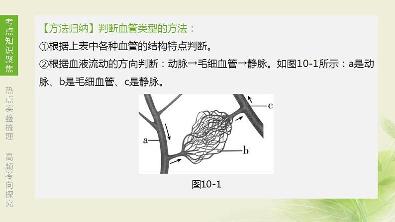 徐州专版中考生物复习第六单元生命活动的调节和生态系统的稳定第10课时人体内物质的运输1血管血液和血型输血课件第7页