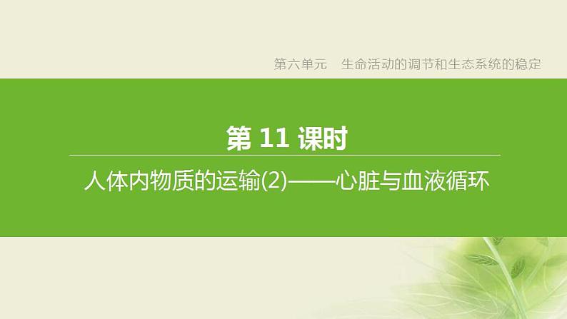 徐州专版中考生物复习第六单元生命活动的调节和生态系统的稳定第11课时人体内物质的运输2心脏与血液循环课件第1页