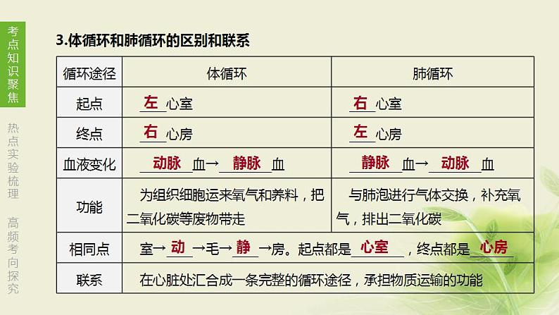 徐州专版中考生物复习第六单元生命活动的调节和生态系统的稳定第11课时人体内物质的运输2心脏与血液循环课件第7页