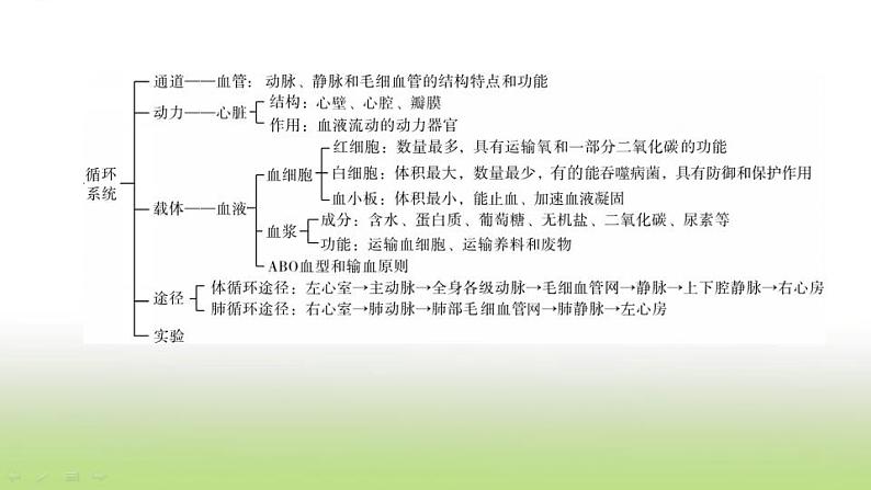 连云港专版中考生物复习第六单元生命活动的调节和生态系统的稳定第10课时人体内物质的运输1_血管血液课件第2页