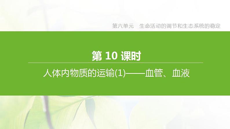 连云港专版中考生物复习第六单元生命活动的调节和生态系统的稳定第10课时人体内物质的运输1_血管血液课件第7页