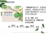 2021-2022 初中生物人教版七年级上册1.2.2生物与环境组成生态系统（第二课时）20页课件PPT