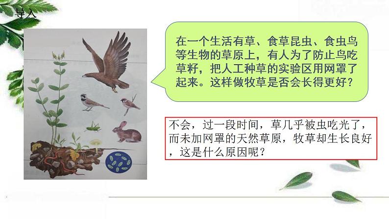 2021-2022 初中生物人教版七年级上册1.2.2生物与环境组成生态系统（第一课时）19页课件PPT第2页