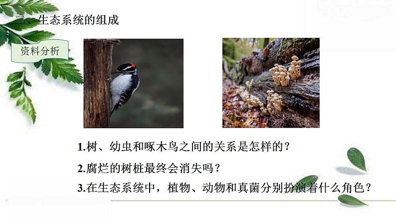 2021-2022 初中生物人教版七年级上册1.2.2生物与环境组成生态系统（第一课时）19页课件PPT第8页