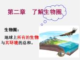 2021-2022 初中生物人教版七年级上册同步教学1.2.1生物与环境的关系（课件29页）