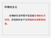 2021-2022 初中生物人教版七年级上册同步教学1.2.1生物与环境的关系（课件29页）