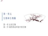 2021-2022 初中生物人教版七年级上册同步教学课件 1.1.2调查周边环境中的生物 （ 22页）