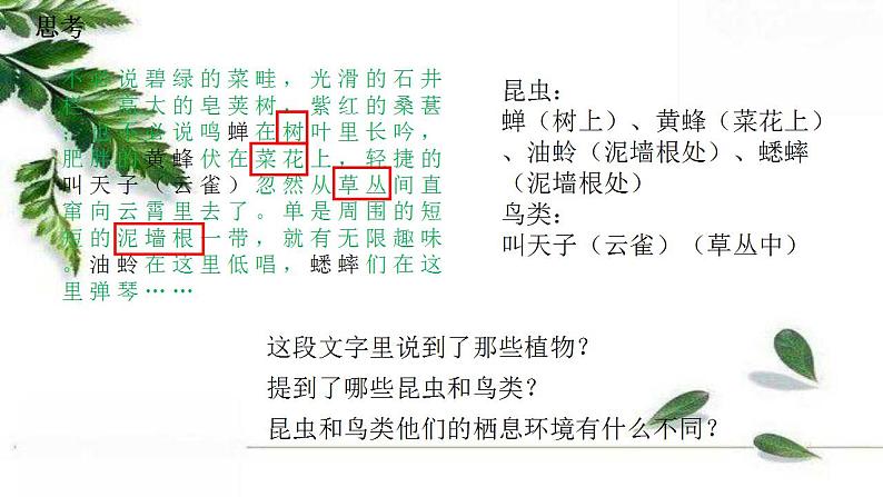 2021-2022 初中生物人教版七年级上册同步教学课件：1.1.2调查周边环境中的生物（21页）04