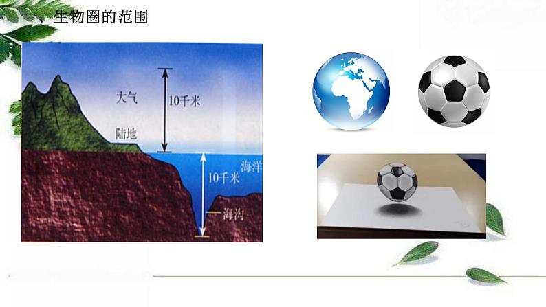 2021-2022 初中生物人教版七年级上册同步教学课件1.2.3生物圈是最大的生态系统（21页）第4页