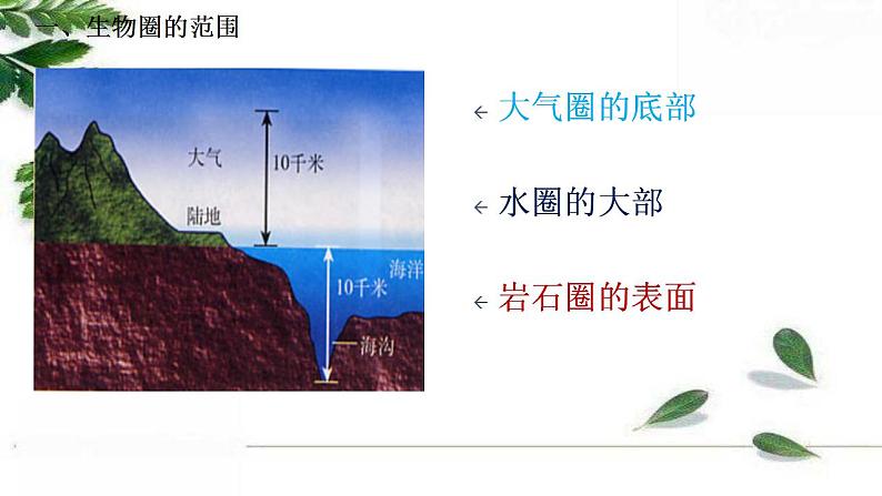 2021-2022 初中生物人教版七年级上册同步教学课件1.2.3生物圈是最大的生态系统（21页）第5页