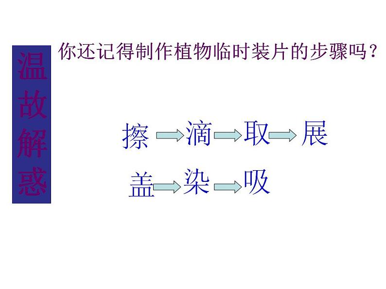 2021-2022 初中人教版 第二单元生物体的结构层次第一章细胞是生命活动的基本单位第三节动物细胞课件02