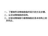 2021-2022 初中人教版 第二单元生物体的结构层次第一章细胞是生命活动的基本单位第三节动物细胞课件