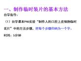 2021-2022 初中人教版 第二单元生物体的结构层次第一章细胞是生命活动的基本单位第三节动物细胞课件