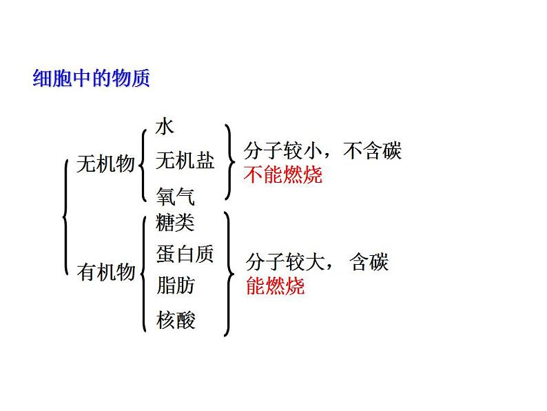 2021-2022 初中人教版 第二单元生物体的结构层次第一章细胞是生命活动的基本单位第四节细胞的生活教学课件第6页