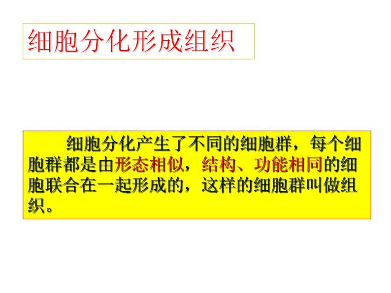 2021-2022 初中人教版 七年级生物上册第二单元第二章第二节动物体的结构层次课件07