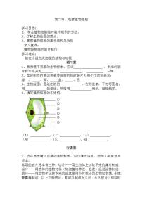 生物人教版 (新课标)第二节 植物细胞学案设计