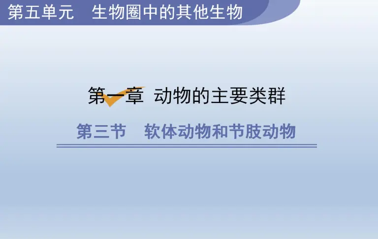 初中生物人教版 新课标 八年级上册第三节软体动物和节肢动物教课课件ppt 教习网 课件下载