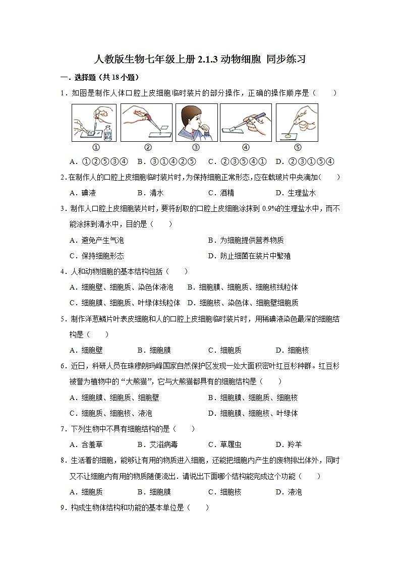 2.1.3动物细胞 同步练习  2021-2022学年人教版生物七年级上册(word版含答案)01