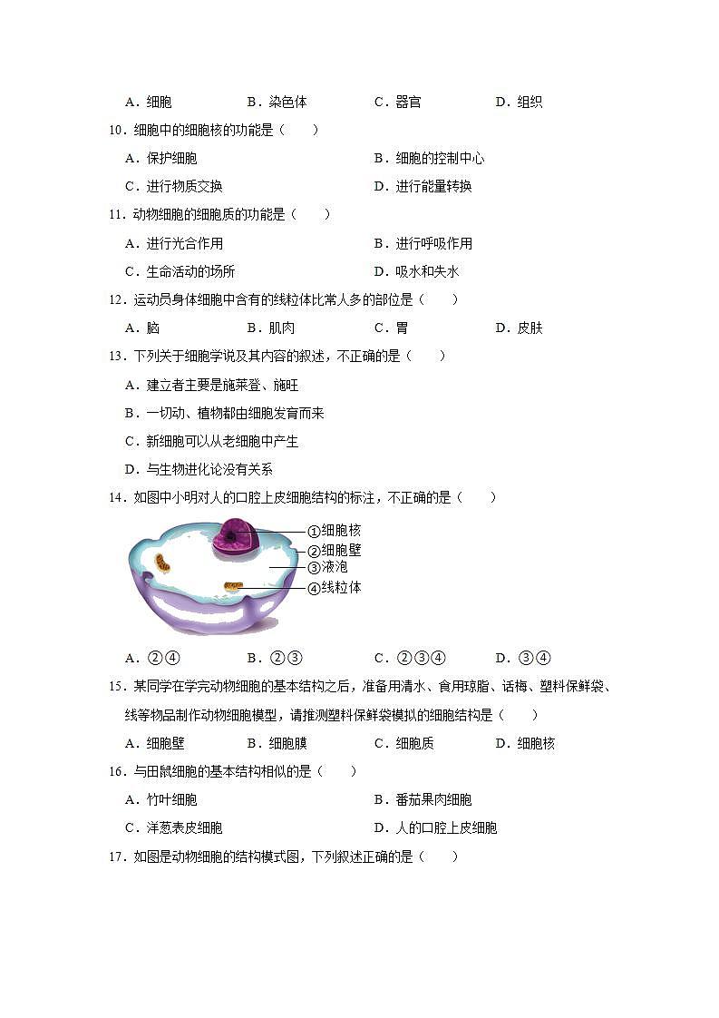 2.1.3动物细胞 同步练习  2021-2022学年人教版生物七年级上册(word版含答案)02
