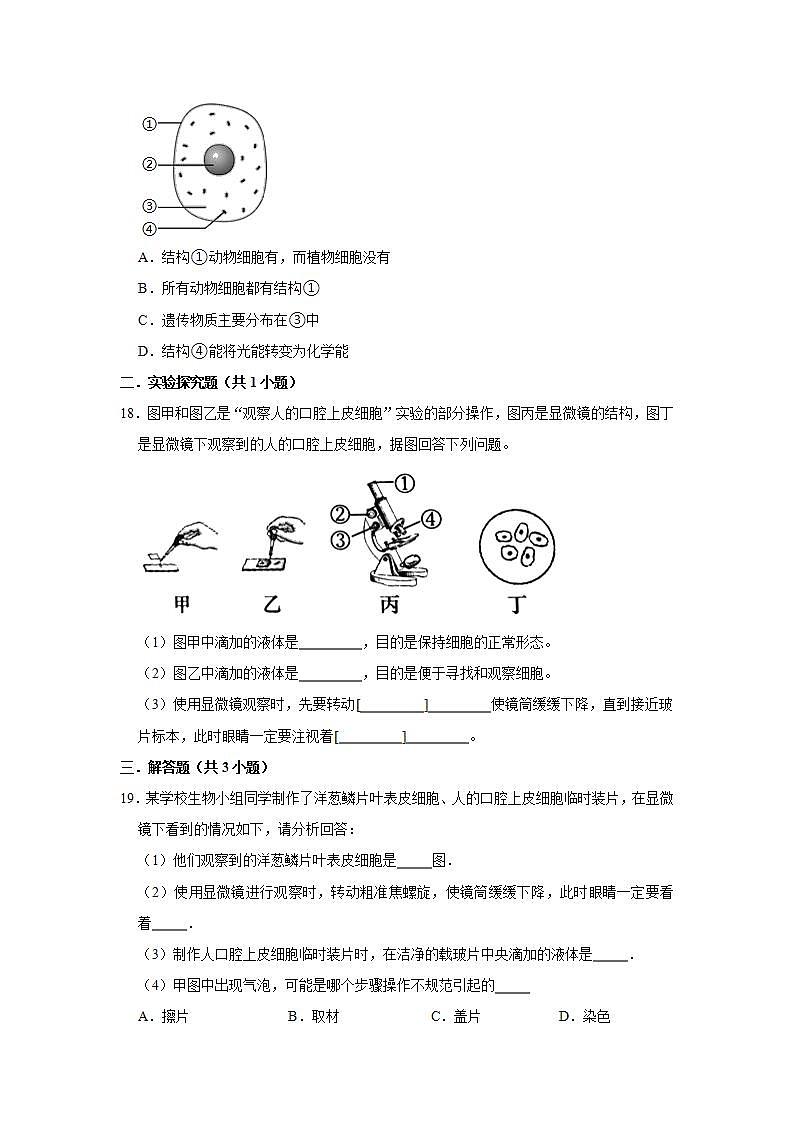2.1.3动物细胞 同步练习  2021-2022学年人教版生物七年级上册(word版含答案)03