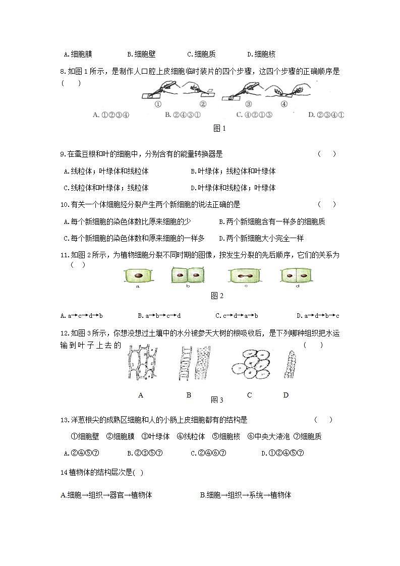 第2单元生物体的结构层次测试题 2021--2022学年苏教版生物七年级上册(word版无答案)02