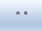 冀教版八年级上册 生物 课件 5.1.2 病毒