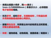 冀教版八年级上册 生物 课件 5.1.2 病毒