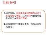 冀教版八年级上册 生物 课件 3.2.2 根对水分的吸收