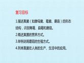 冀教版八年级上册 生物 课件 第五单元第二章 真菌 复习课件