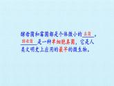 冀教版八年级上册 生物 课件 第五单元第二章 真菌 复习课件