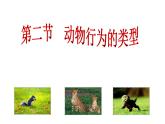 冀教版八年级上册 生物 课件 4.2.2 动物行为的类型