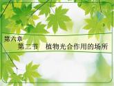 冀教版八年级上册 生物 课件 3.3.3 光合作用的场所