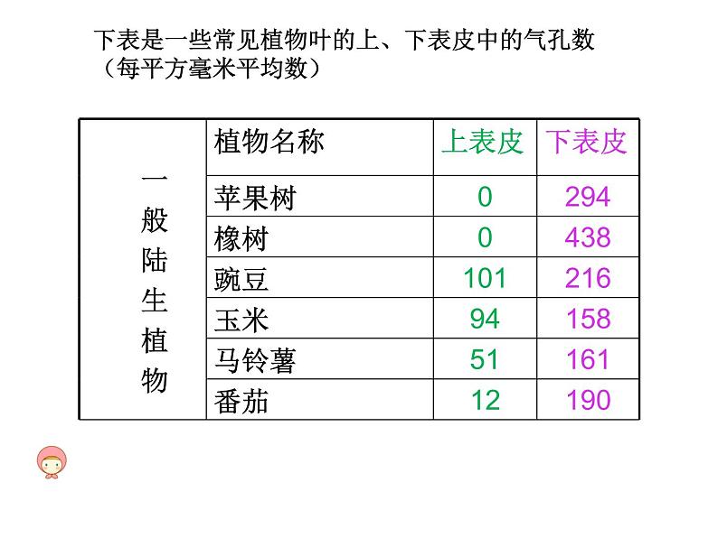 冀教版八年级上册 生物 课件 3.3.3 光合作用的场所第8页