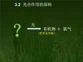 冀教版八年级上册 生物 课件 3.3.2 光合作用的原料
