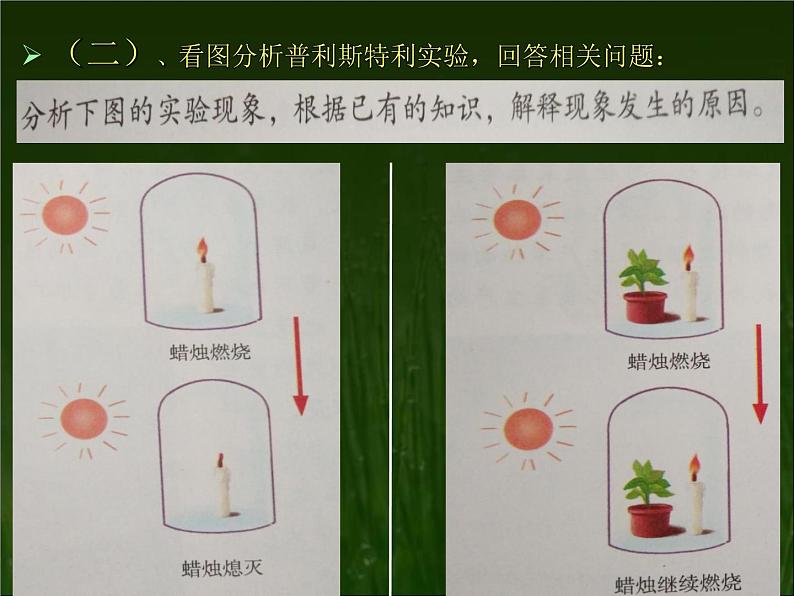 冀教版八年级上册 生物 课件 3.3.2 光合作用的原料03