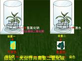 冀教版八年级上册 生物 课件 3.3.2 光合作用的原料