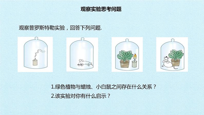 冀教版八年级上册 生物 课件 第三单元第五章 绿色植物在生物圈中的作用 复习课件04