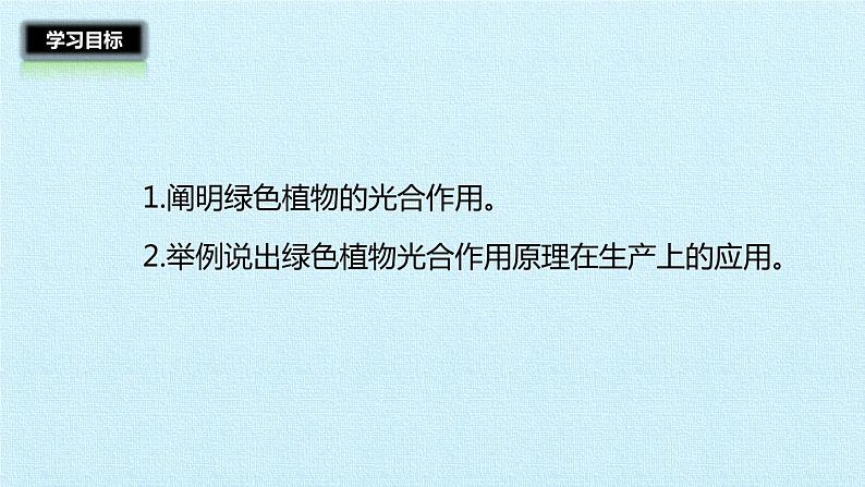 冀教版八年级上册 生物 课件 第三单元第三章 叶的光合作用 复习课件02