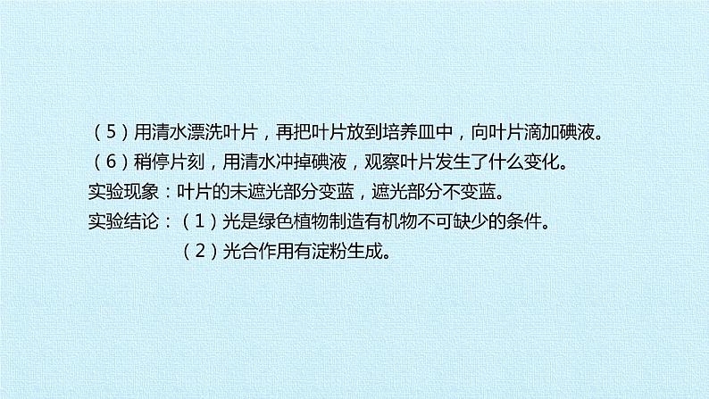 冀教版八年级上册 生物 课件 第三单元第三章 叶的光合作用 复习课件07