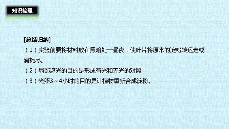 冀教版八年级上册 生物 课件 第三单元第三章 叶的光合作用 复习课件08