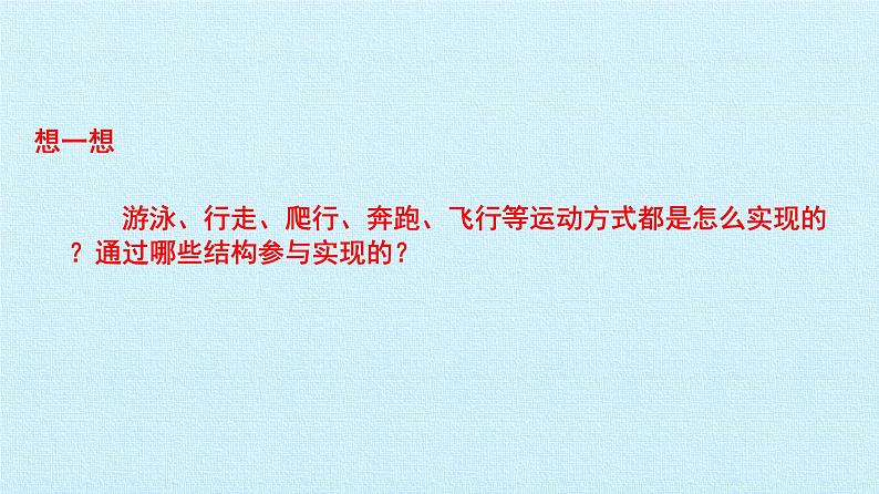 冀教版八年级上册 生物 课件 第四单元第一章 动物的运动 复习课件第4页